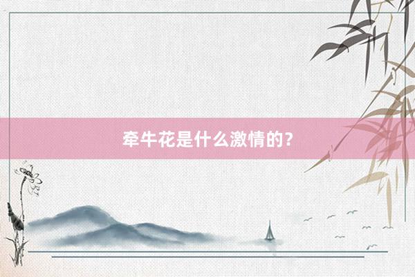 牵牛花是什么激情的？